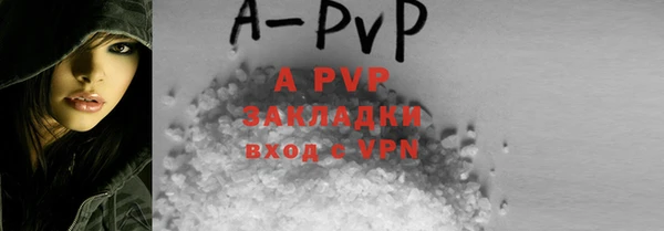 гашик Осташков
