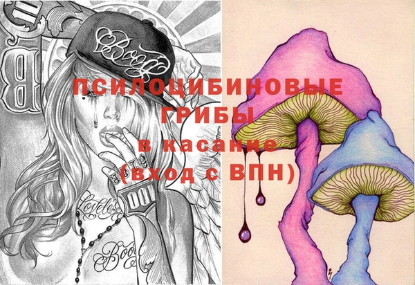 не бодяженный Няндома