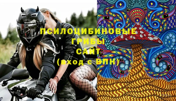 гашик Осташков