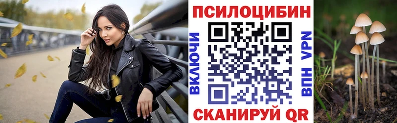 сайты даркнета как зайти  купить  цена  Азнакаево  Галлюциногенные грибы Psilocybine cubensis 