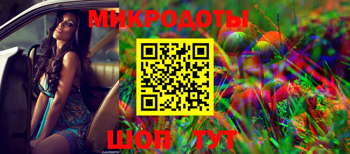 Галлюциногенные грибы Psilocybine cubensis  Вход с VPN  Азнакаево 
